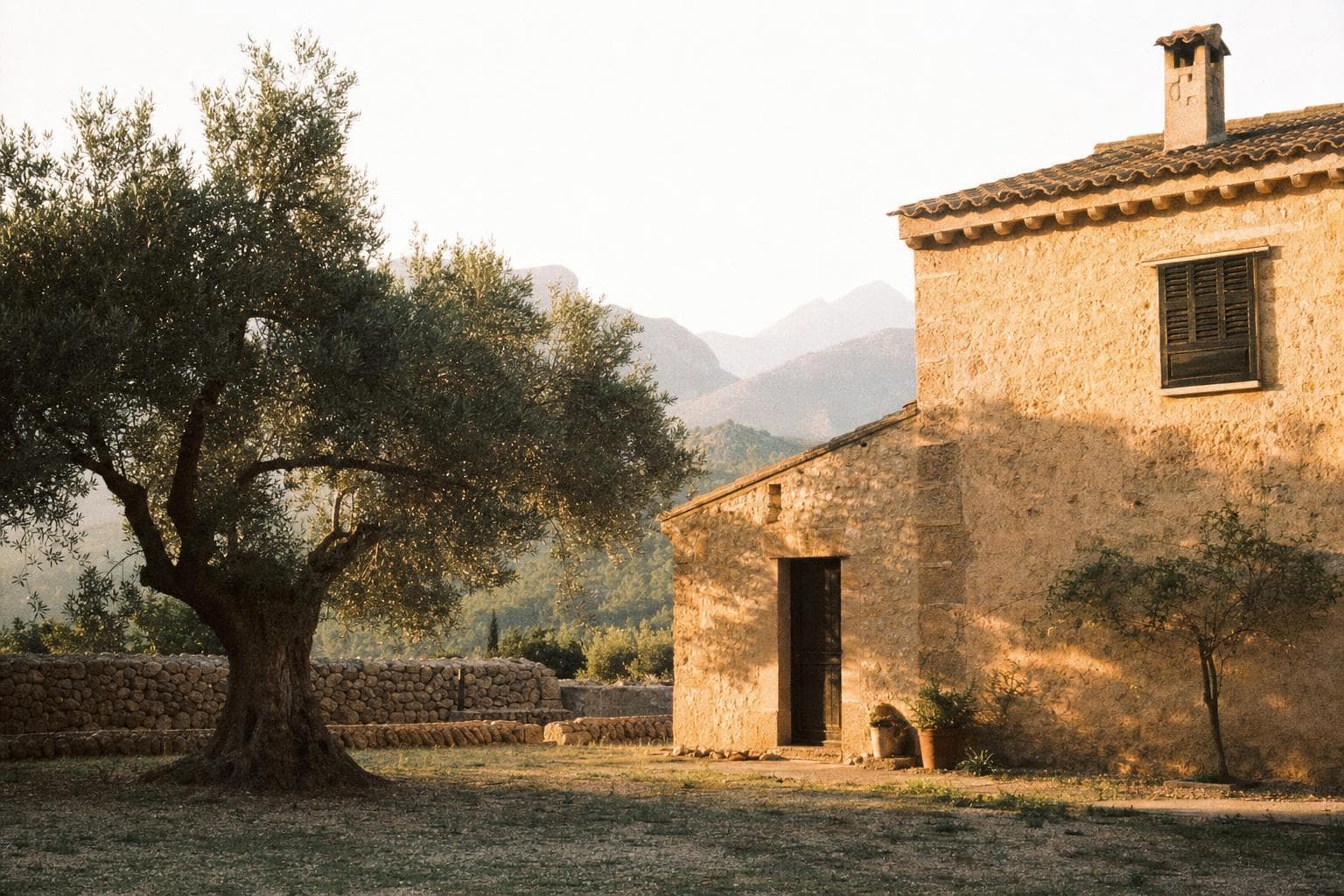 Finca auf Mallorca im goldenen Abendlicht
